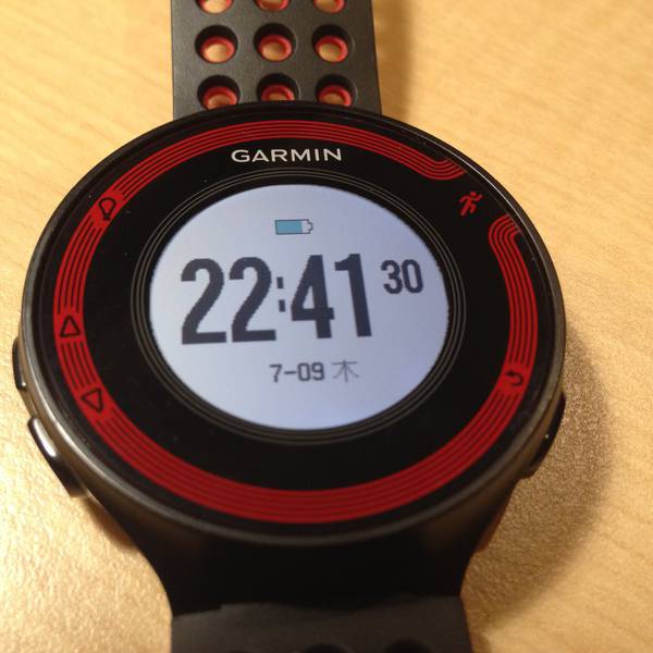 Garmin Foreathlete 2jのレビュー ライオーン