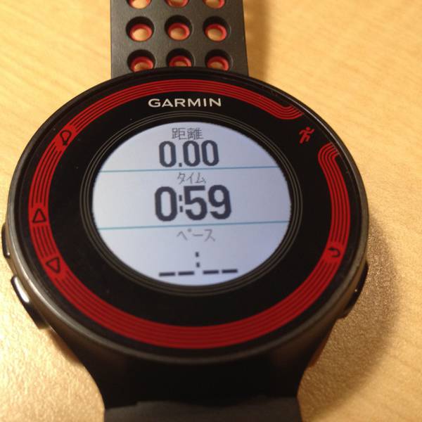 Garmin Foreathlete 2jのレビュー ライオーン