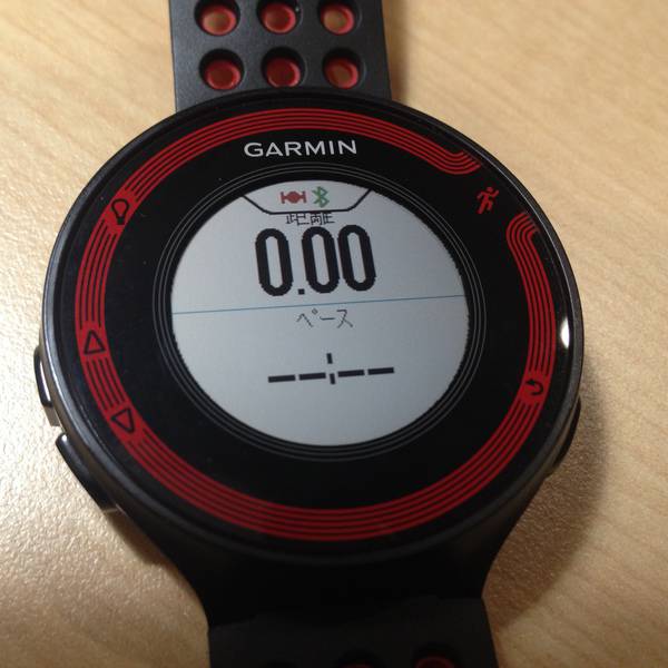 Garmin Foreathlete 2jのレビュー ライオーン