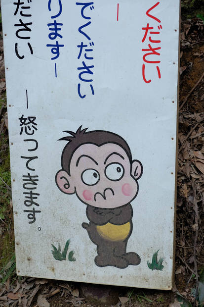 /assets/2015/kyoto-arashiyama-monkey-park/img-3208.jpg