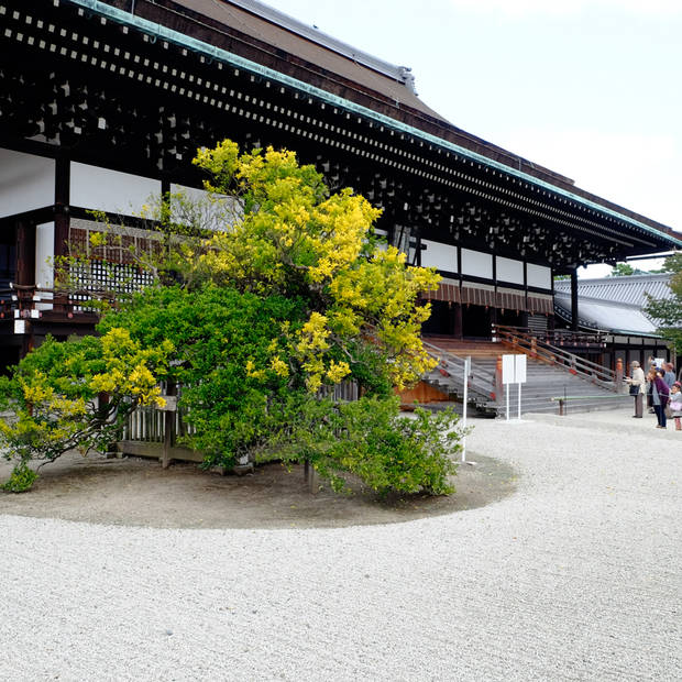 /assets/2015/kyoto-imperial-palace-autumn-2015/gosyo-0387.jpg