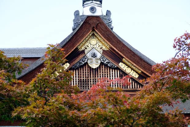 /assets/2015/kyoto-imperial-palace-autumn-2015/gosyo-0406.jpg