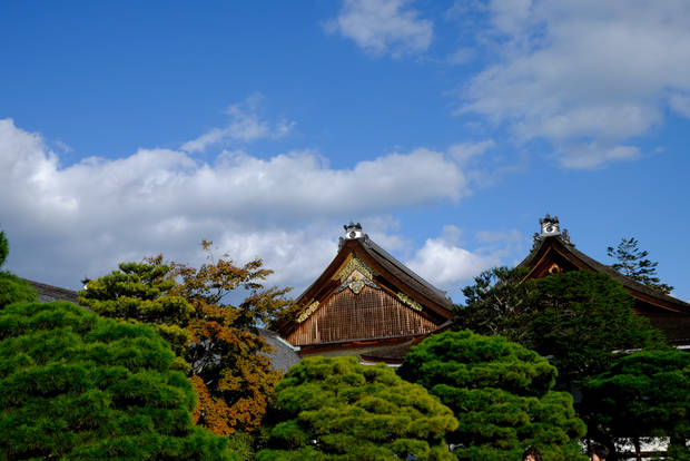 /assets/2015/kyoto-imperial-palace-autumn-2015/gosyo-0430.jpg
