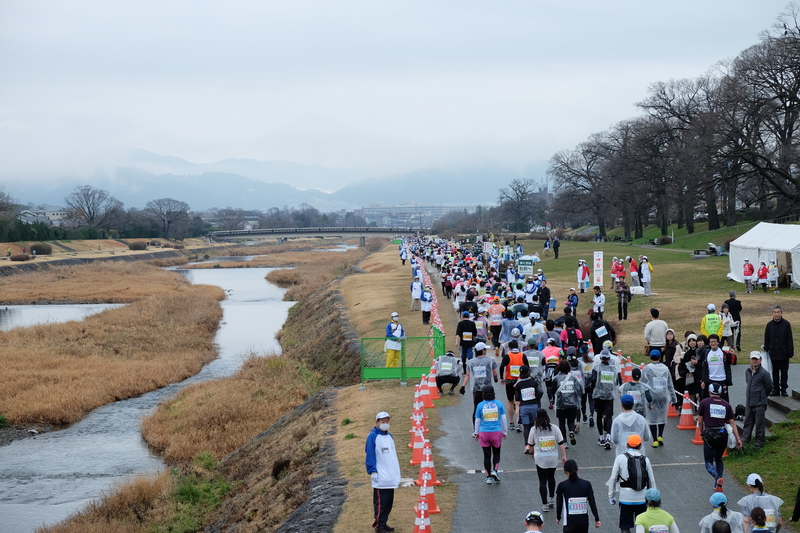 京都マラソン2020の応援と自粛の話
